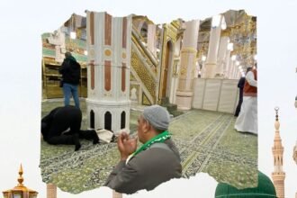 Raudhah Taman Surga di Masjid Nabawi
